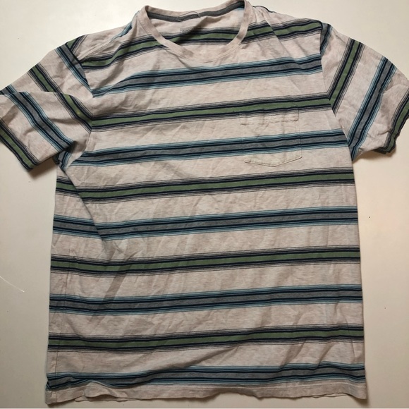 Patagonia Mens Striped T-shirt Large - Picture 1 of 5